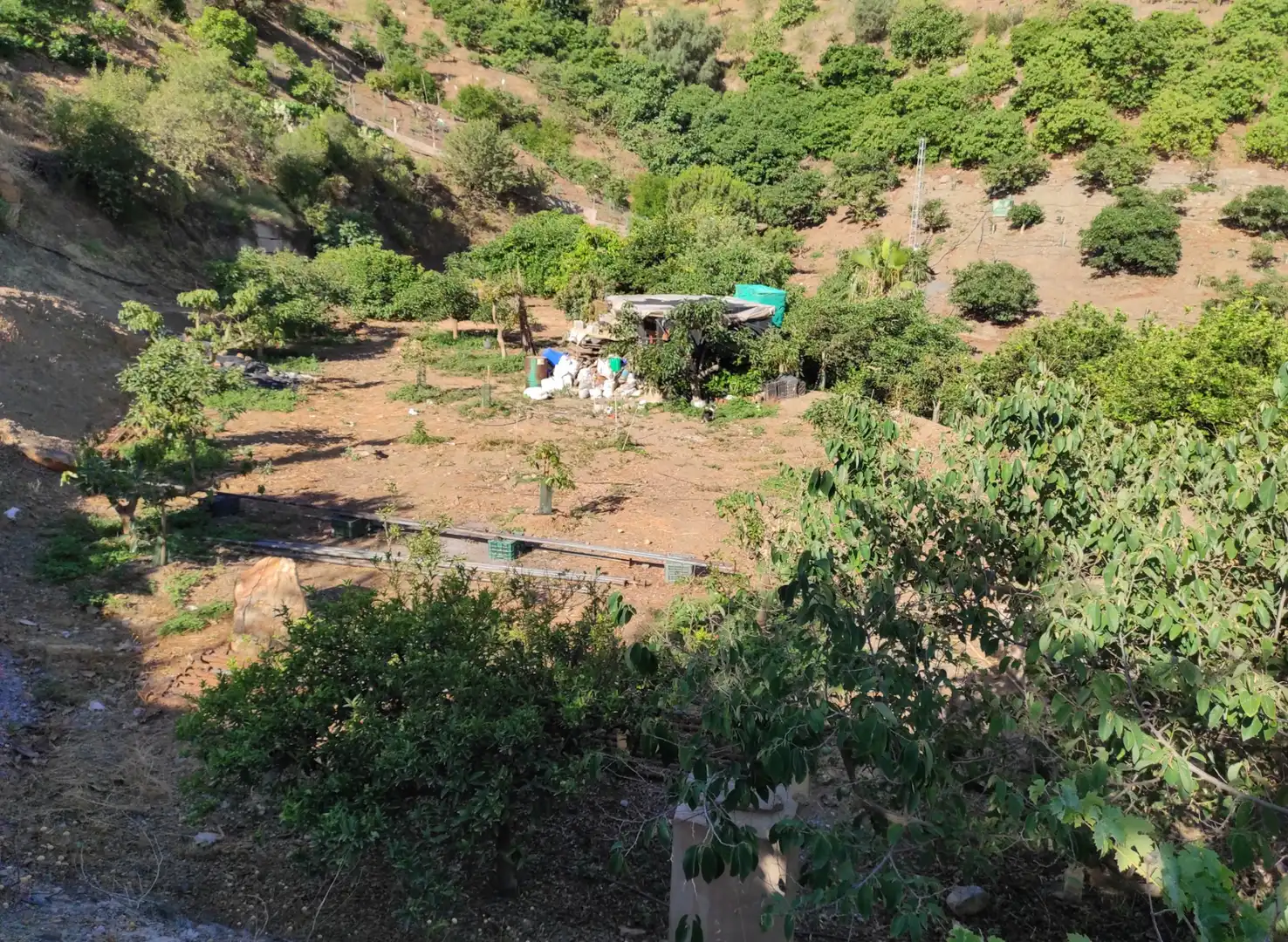 Finca rústica en venda en Canillas de Aceituno amb Jardí privat, Terrassa i Traster