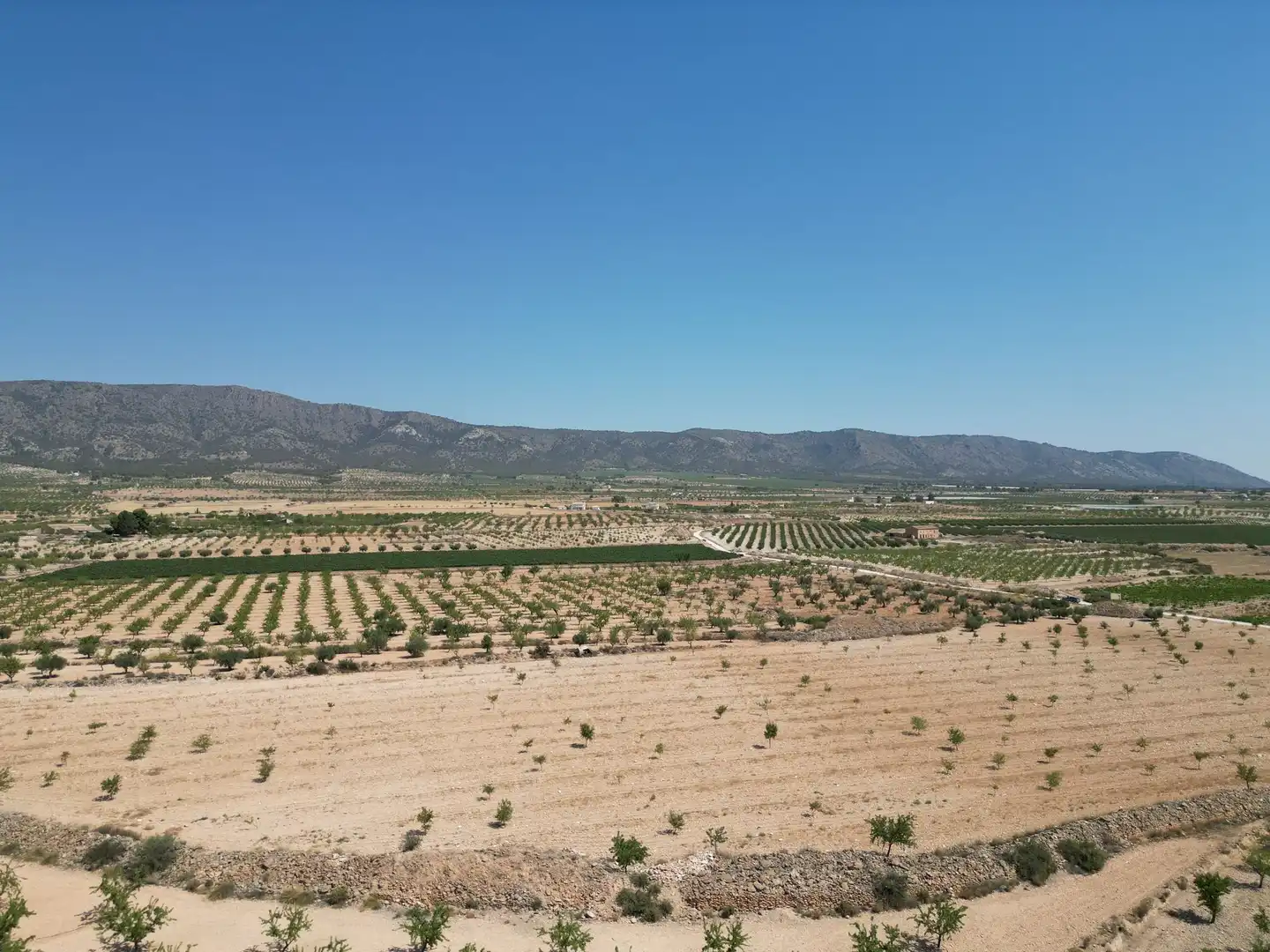 Terreno residencial en venta en El Pinós / Pinoso, imagen 5