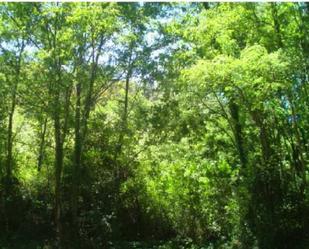 Land for sale in Irun 
