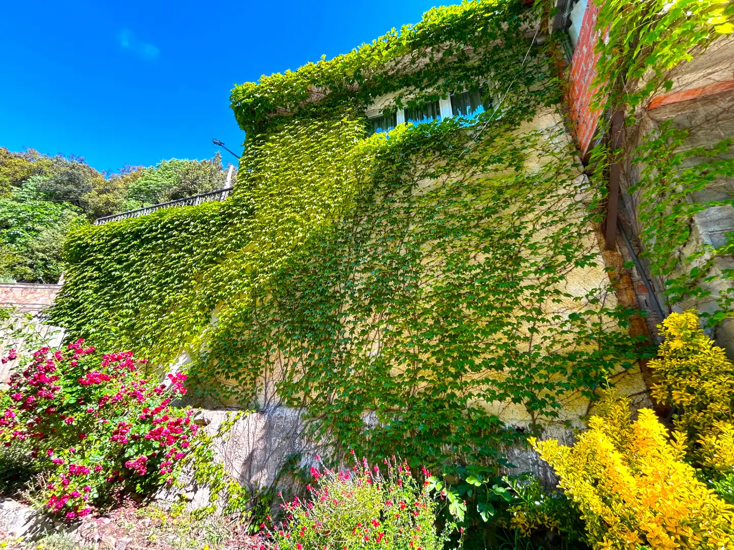 Vista exterior de Casa o chalet en venta en Osor con Calefacción, Jardín privado y Terraza