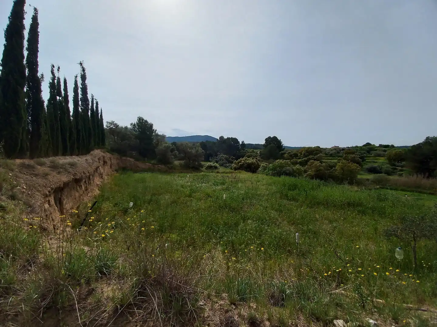 Rural land for sale in Ginestar, imagen 3