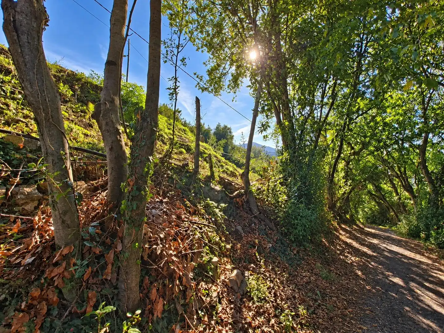Terrain rustique à vendre à Camino de Caldones 2380, imagen 21