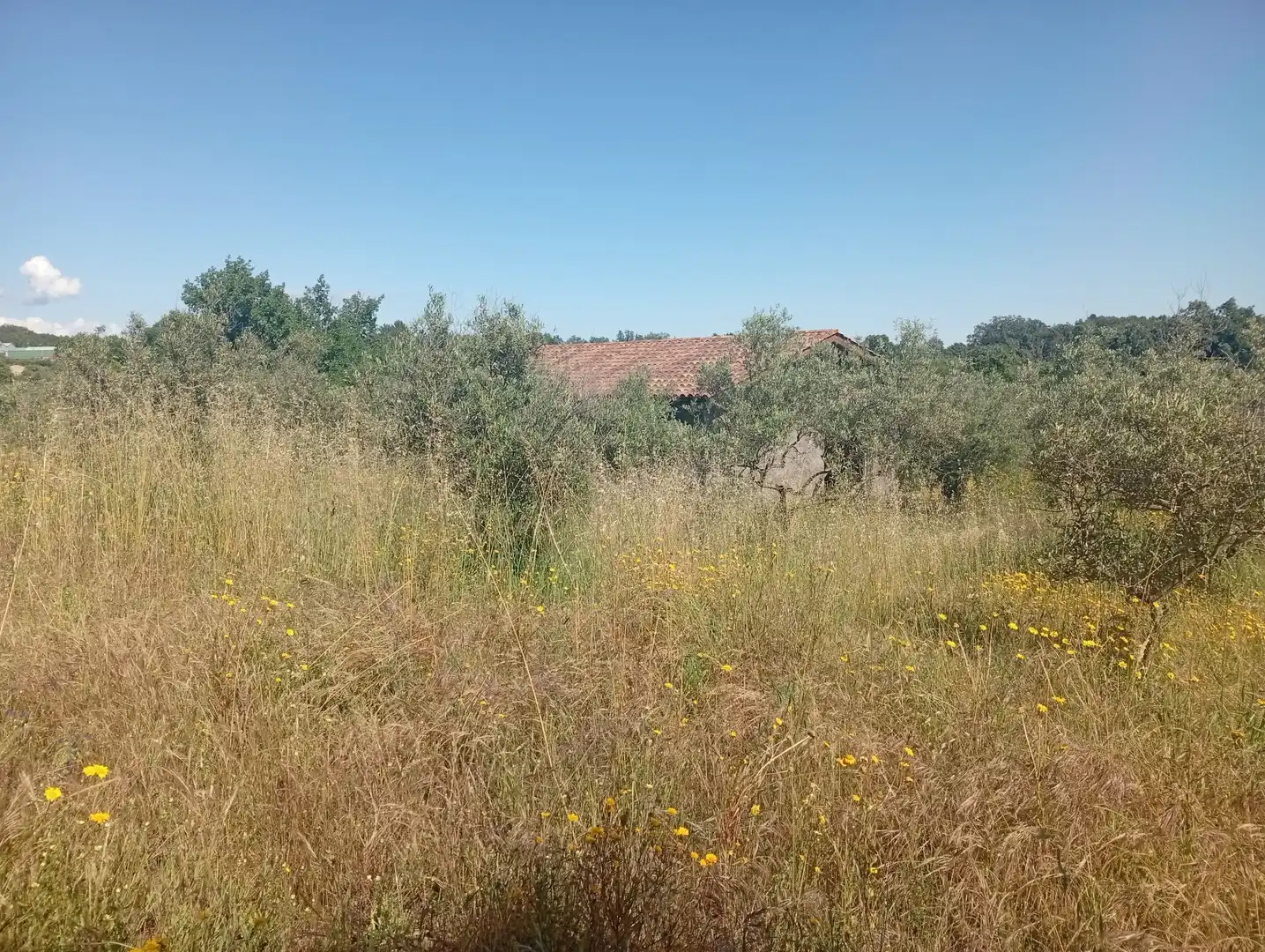Maison à vendre à Villanueva de la Vera, imagen 71