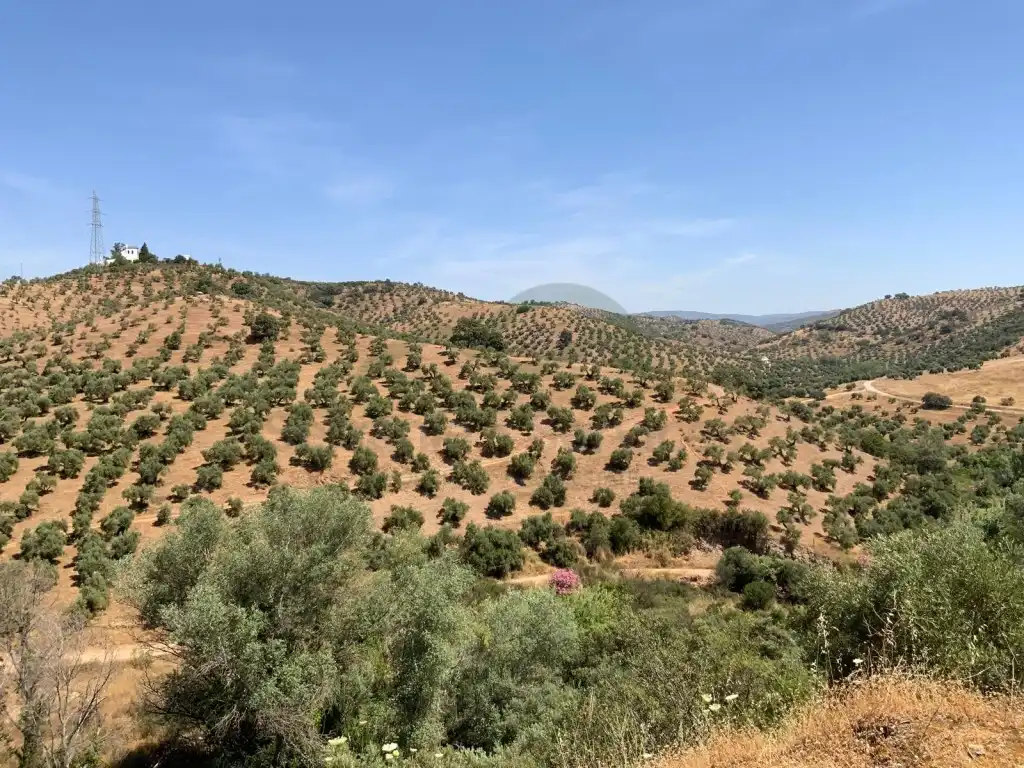 House for sale in Montoro, imagen 7