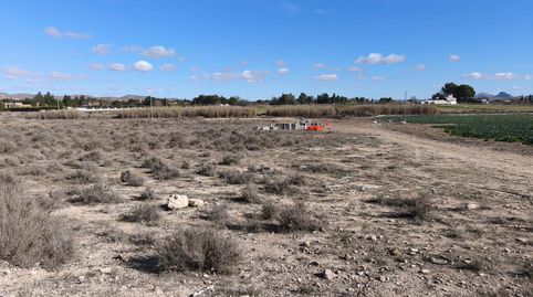 Foto 2 de Finca rústica en venta en Hellín, Albacete