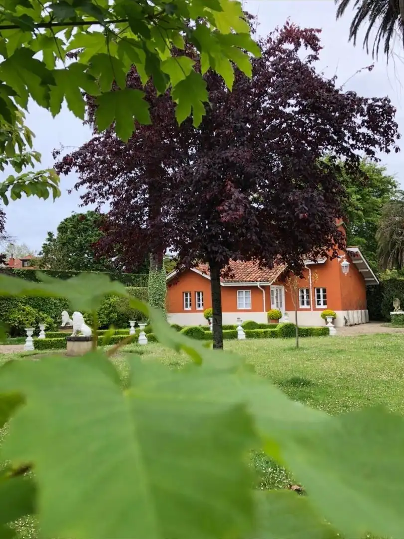 Jardí de Casa o xalet en venda en Gijón  amb Jardí privat, Terrassa i Moblat