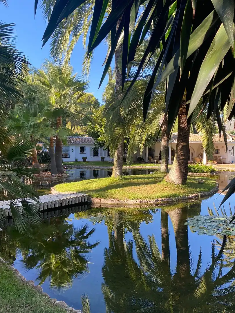 House with pool for sale in Milla de Oro, imagen 10