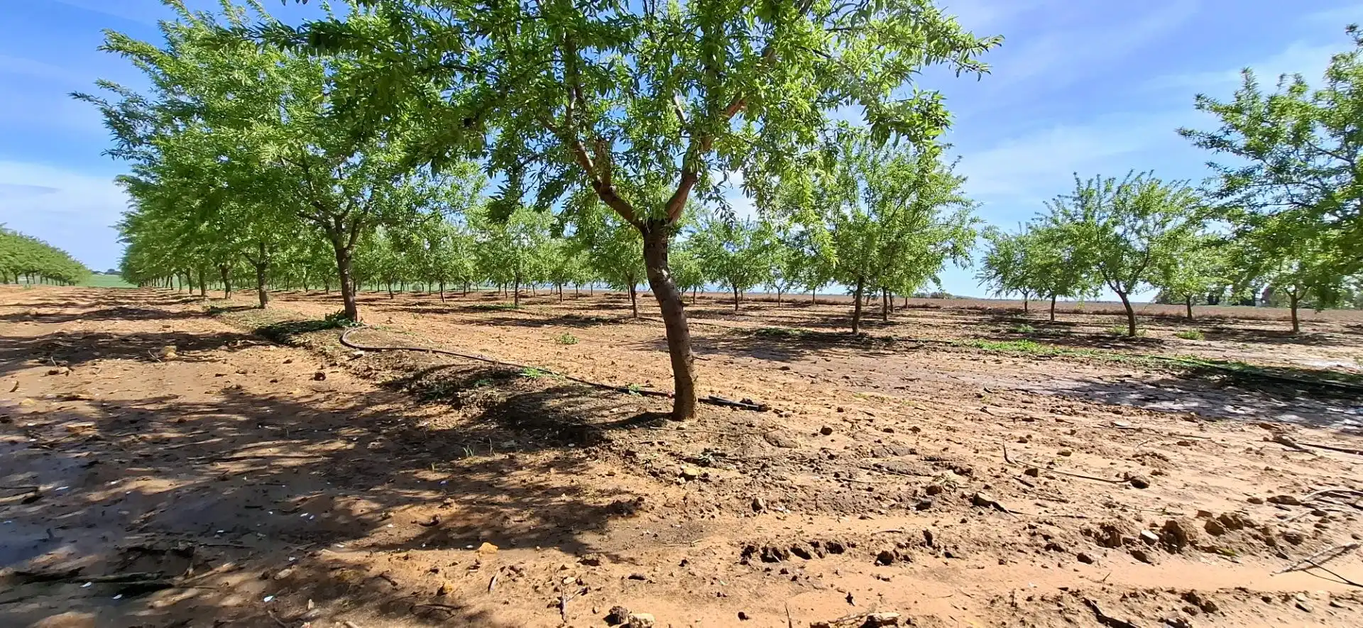 Terreno en venta en Utrera