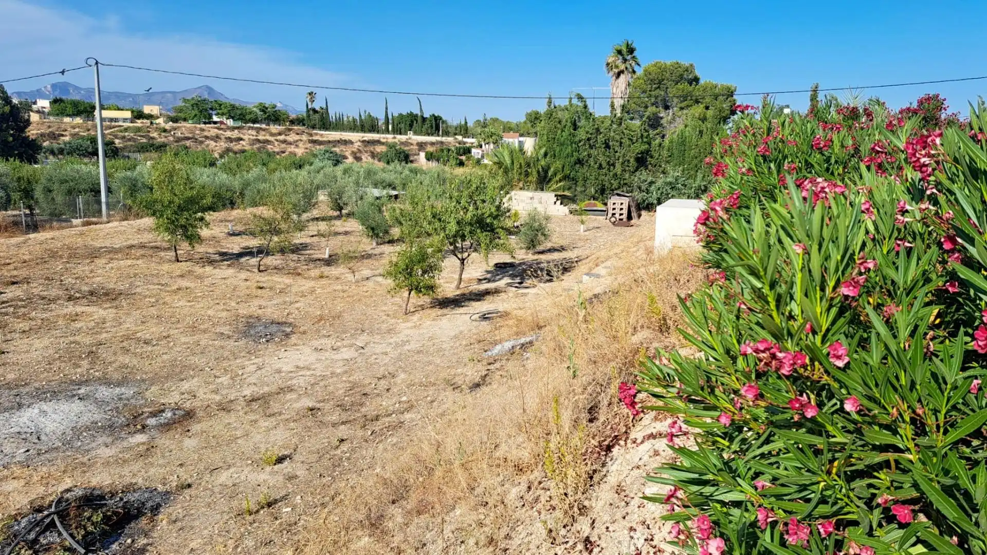 Houses for sale in Novelda  with Swimming Pool and Alarm
