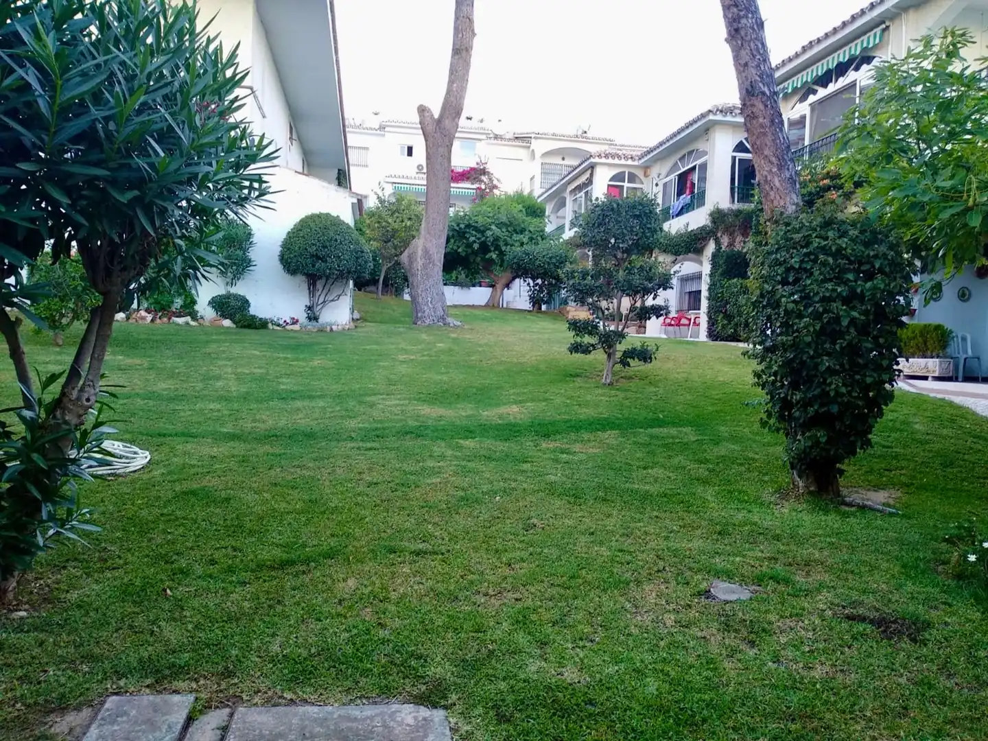 Garden of Apartments for rent in Solymar