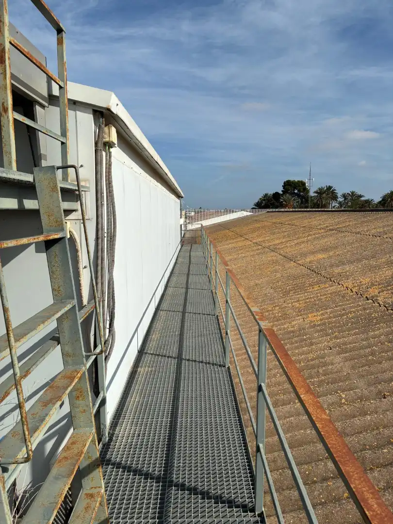 Vista exterior de Nave industrial de alquiler en Elche / Elx