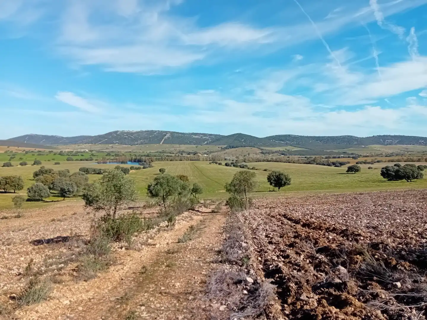 Residential for sale in Puebla de Don Rodrigo