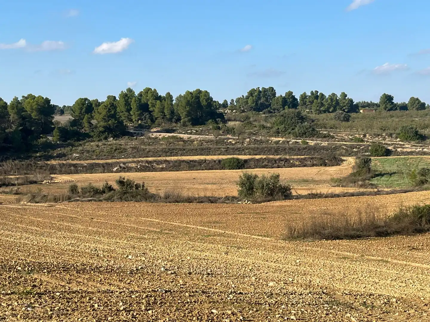 Terreni e lotti in vendita a Torre del Compte, imagen 7