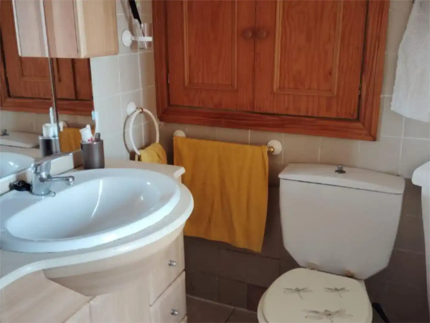 Baño de Casa o chalet en venta en Almuradiel con Jardín privado, Trastero y Amueblado