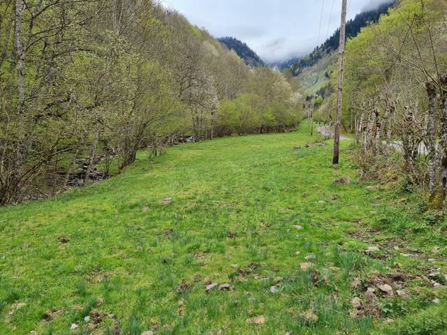 Terreno en Venta en Canejan