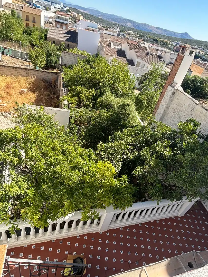 House for sale in Calle Francisco Salto, imagen 16
