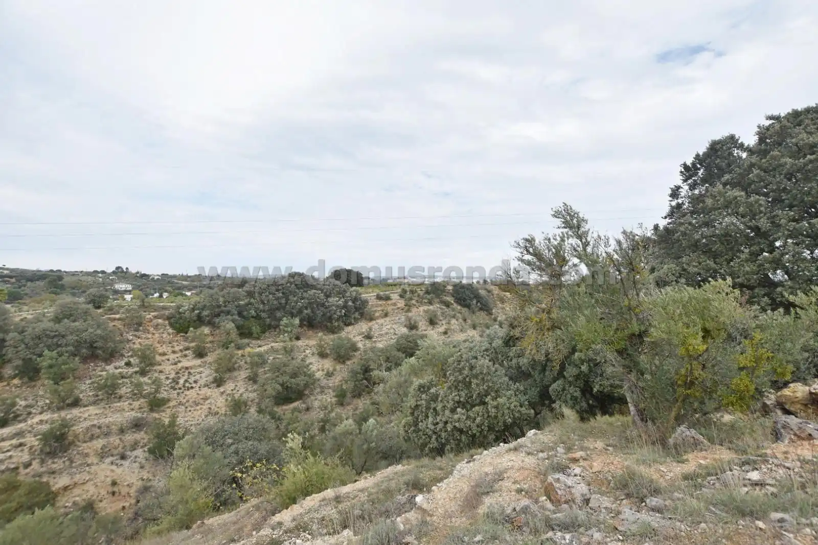 Terreno en venta en Ronda