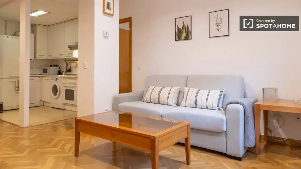Flat to rent in Centro