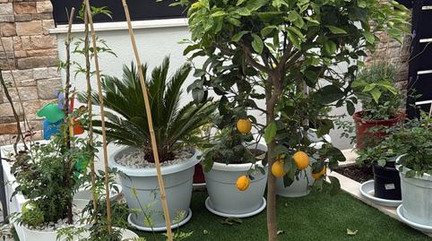 Photo 5 of House or chalet for sale in Orxeta, Alicante