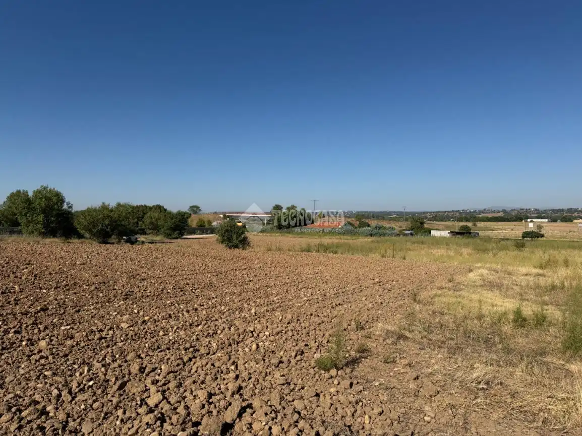 Terreny rústic en venda a Fuente El Saz de Jarama, imagen 3