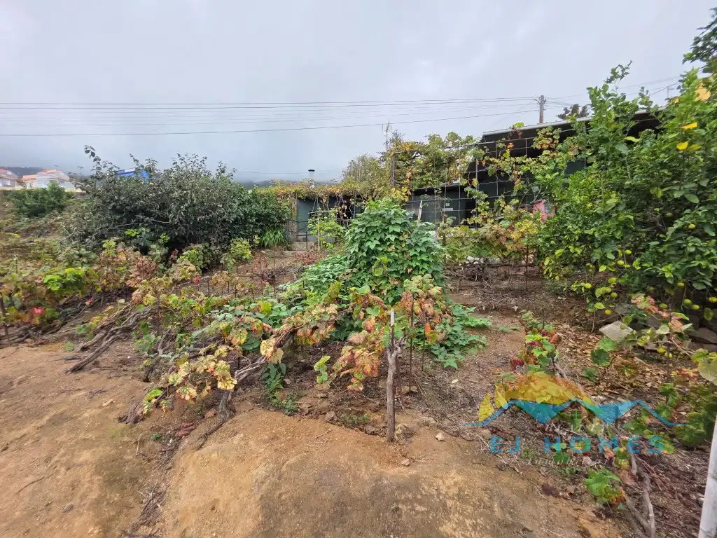 Houses for sale in La Orotava