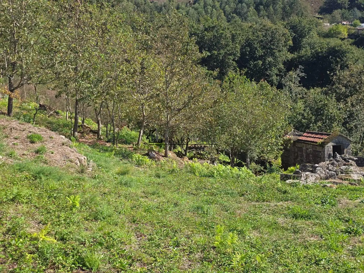 Terrenys i solars en venda a Cotobade, imagen 4