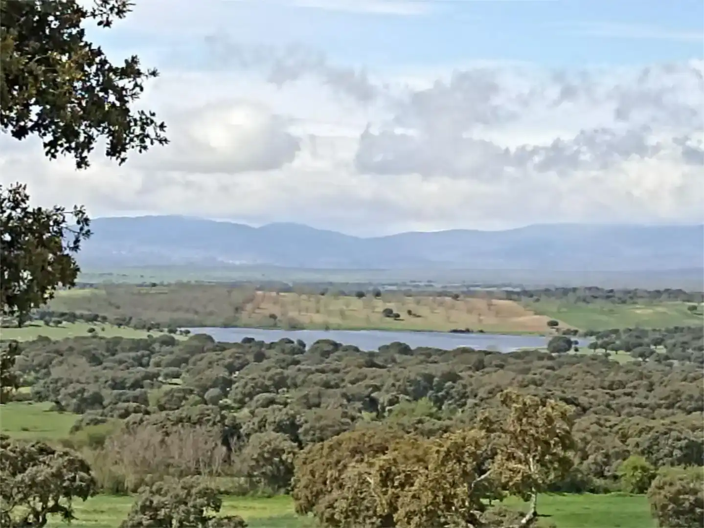 Planta baja en venta en Membribe de la Sierra con Amueblado
