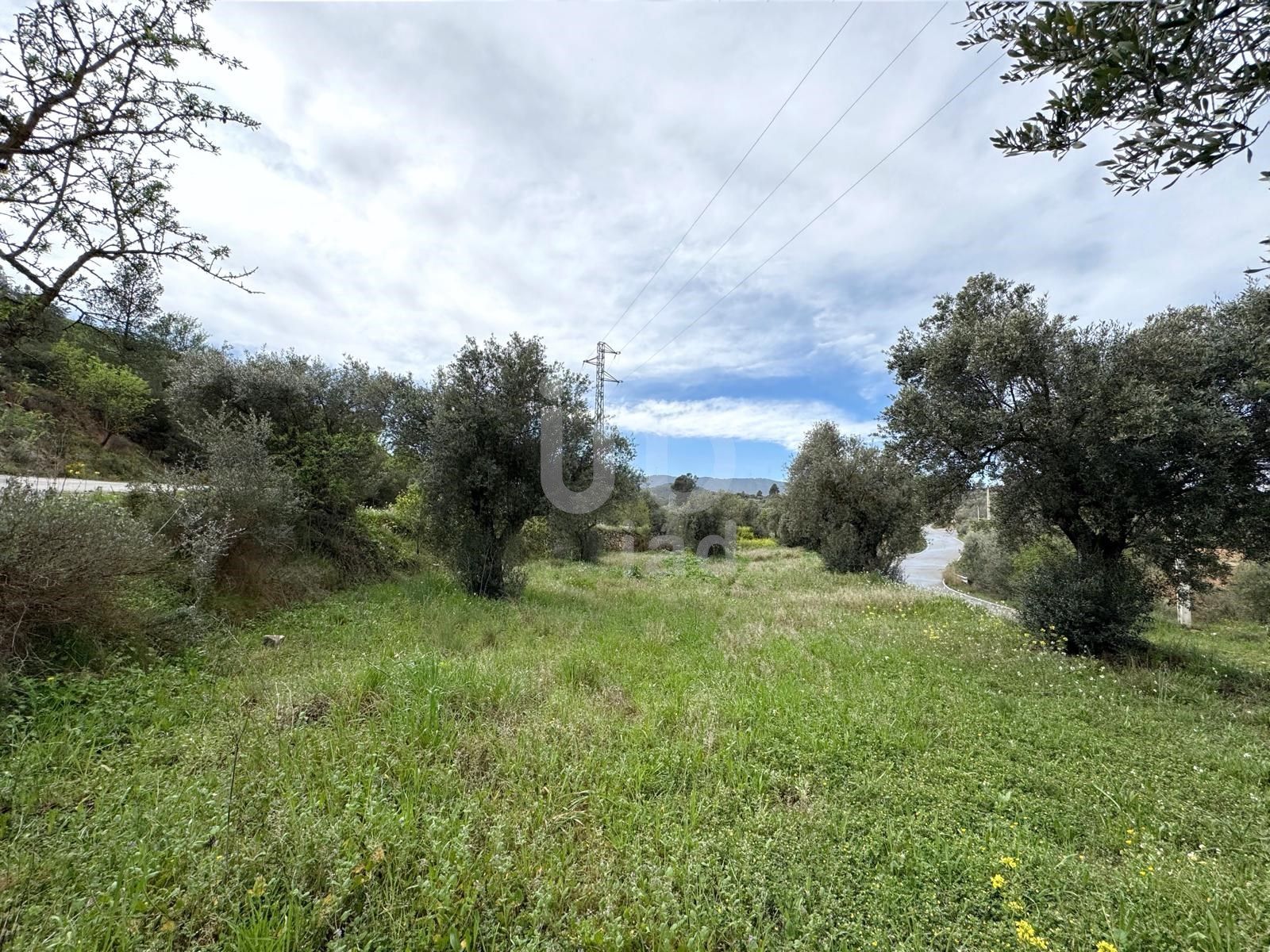 Residential for sale in Ascó