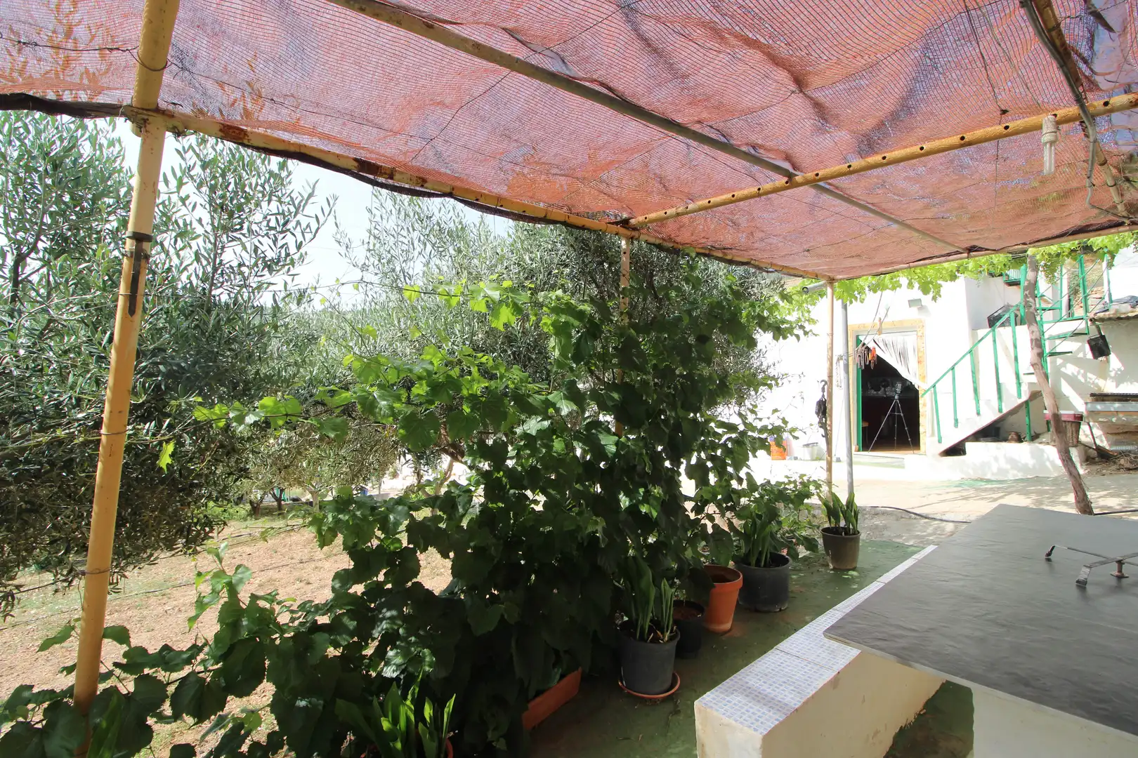 Terrassa de Finca rústica en venda en Dalías