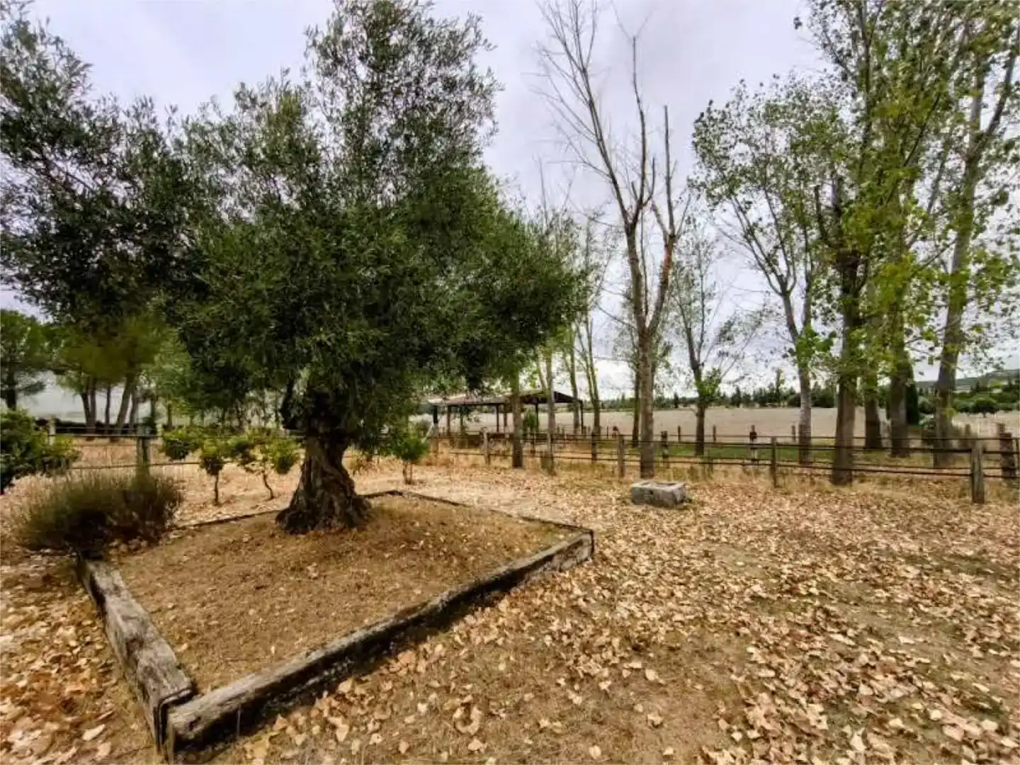 Finca rústica en venda en Valladolid Capital amb Aire condicionat, Piscina i Balcó