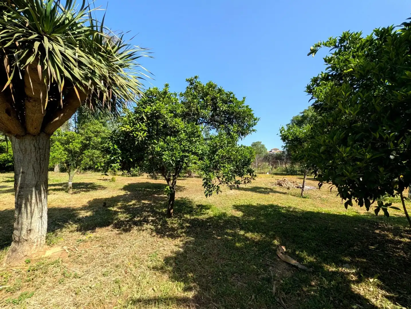 Chalet con jardín en venta en Sanlúcar la Mayor, imagen 28