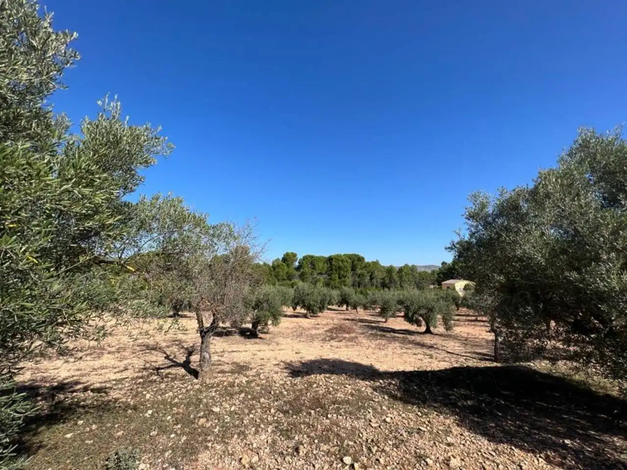 Chalet en venta en Banyeres de Mariola, imagen 7