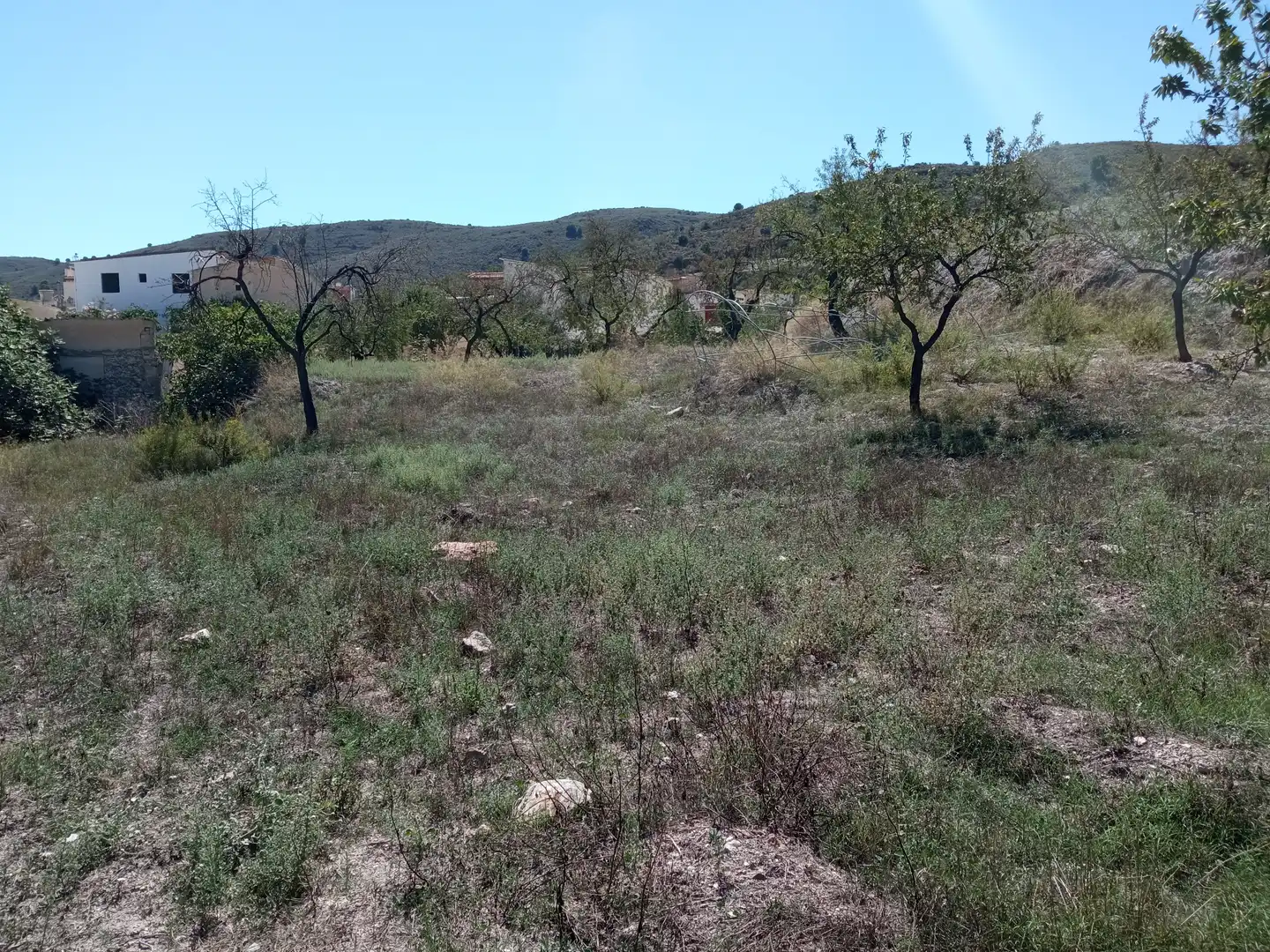 Residential for sale in Turón