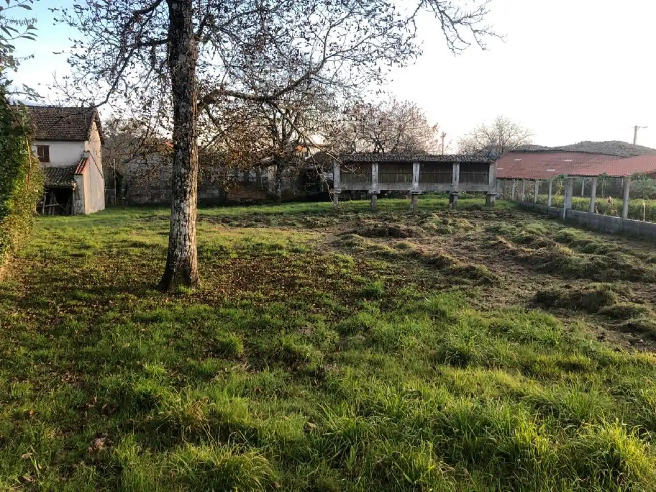 House with garden for sale in O Pereiro de Aguiar, imagen 19