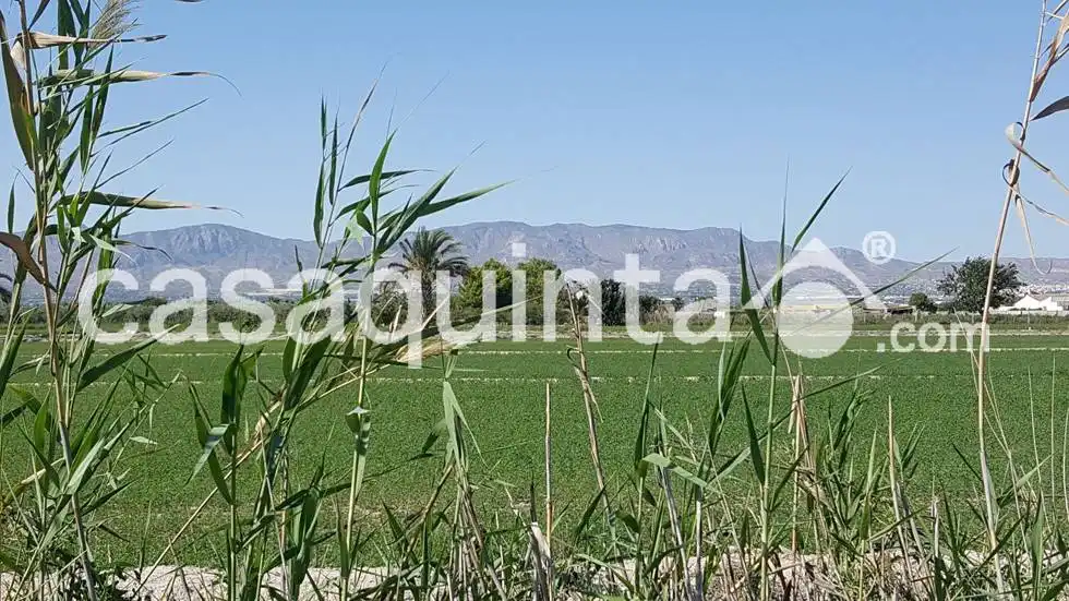 Terreni e lotti in vendita a Partida Santa Agueda