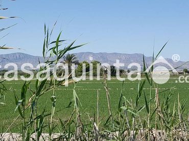 Terrenos y solares en venta en Partida Santa Agueda