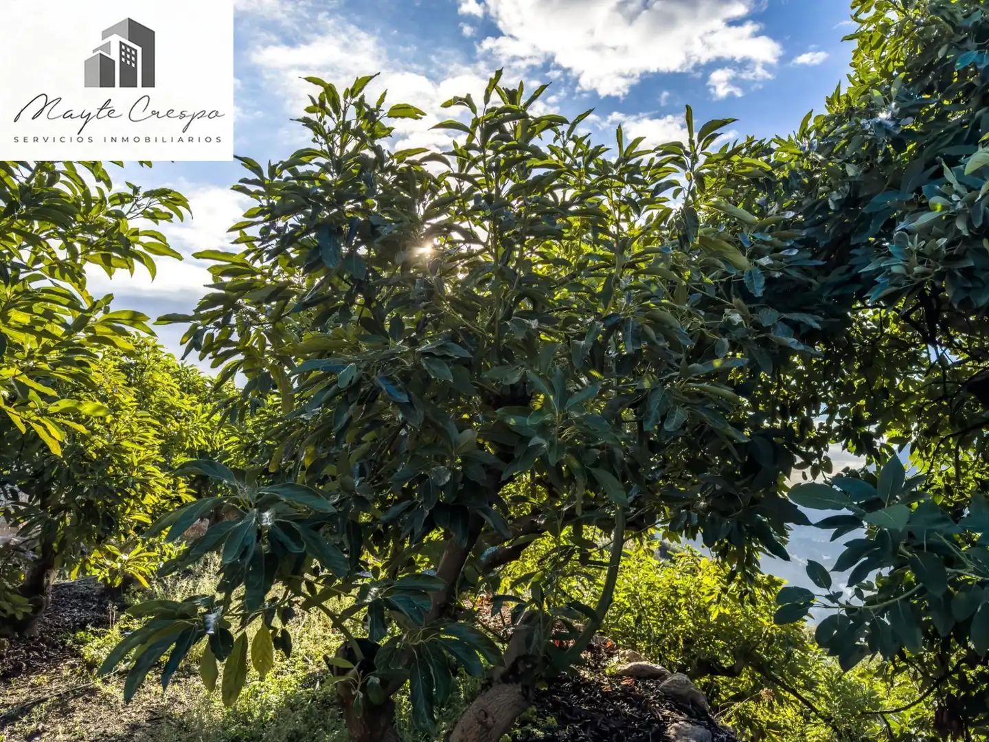 Casa rústica en venta en Calle Diseminados, Pol-8 Par-359, imagen 40