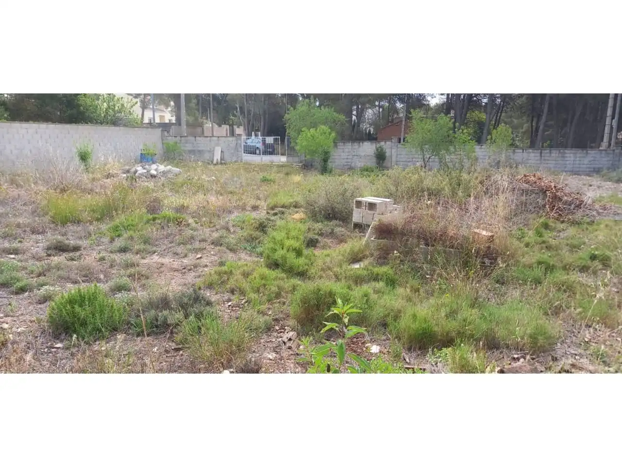 Rustikales Grundstück zum Verkauf in Cabra del Camp, imagen 5