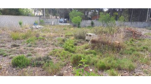 Terreno en venta en Cabra del Camp, imagen 5