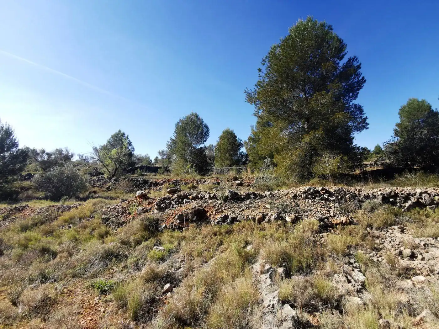 Finca rústica en venda en Chella