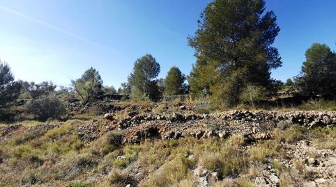 TERRENO RUSTICO SOTARRAÑA!!!!, imatge 4