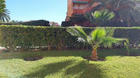 Photo 2 of Premises for sale in Salobreña Costa, Granada