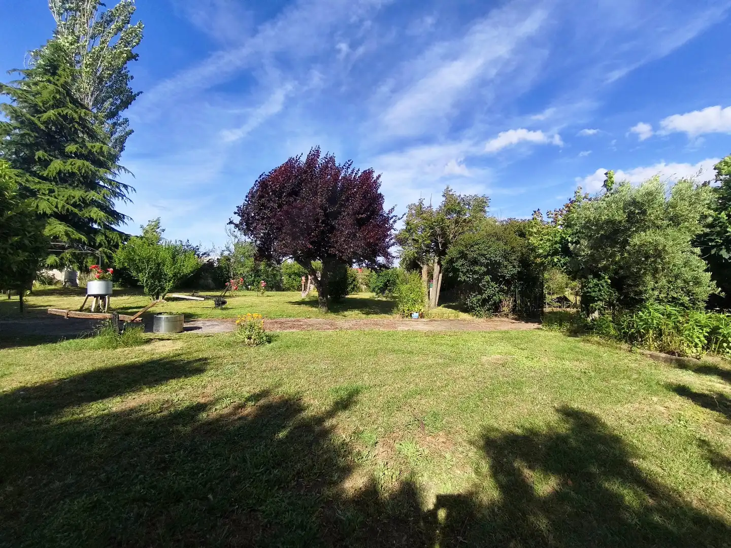 Terreni e lotti in vendita a Oteruelo, imagen 9