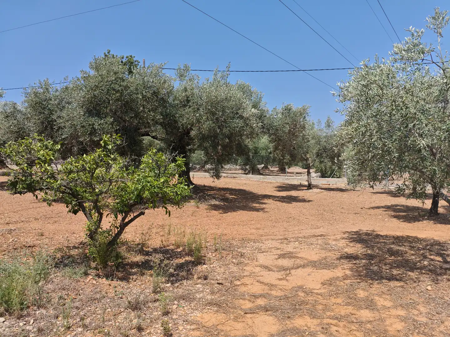 Terreno rústico en venta en Valletes - Xiribecs, imagen 22