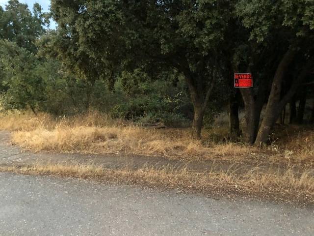 Terreno residencial en Venta en Calle los Acebos, 4 en Valdorros