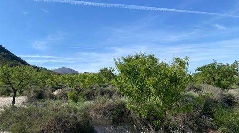 Paraíso Agrícola en la Sierra de Moratalla Almendros, Olivos y Vistas Únicas, immagine 4