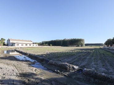 Maison à vendre à Fuente Vaqueros