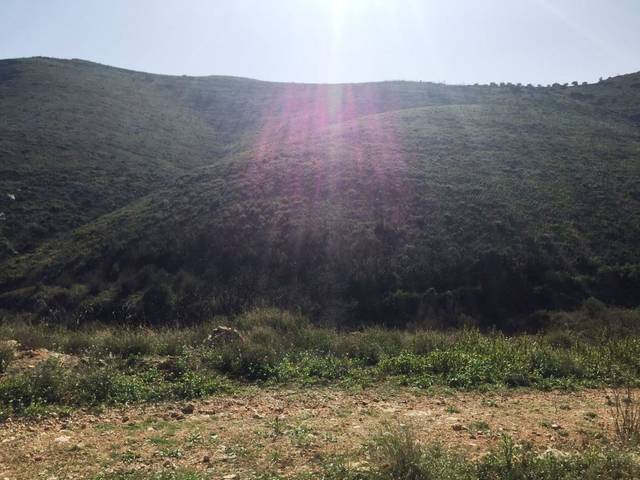 Terreno en Venta en Calle Macastre, 1 en Barrio de Campanar