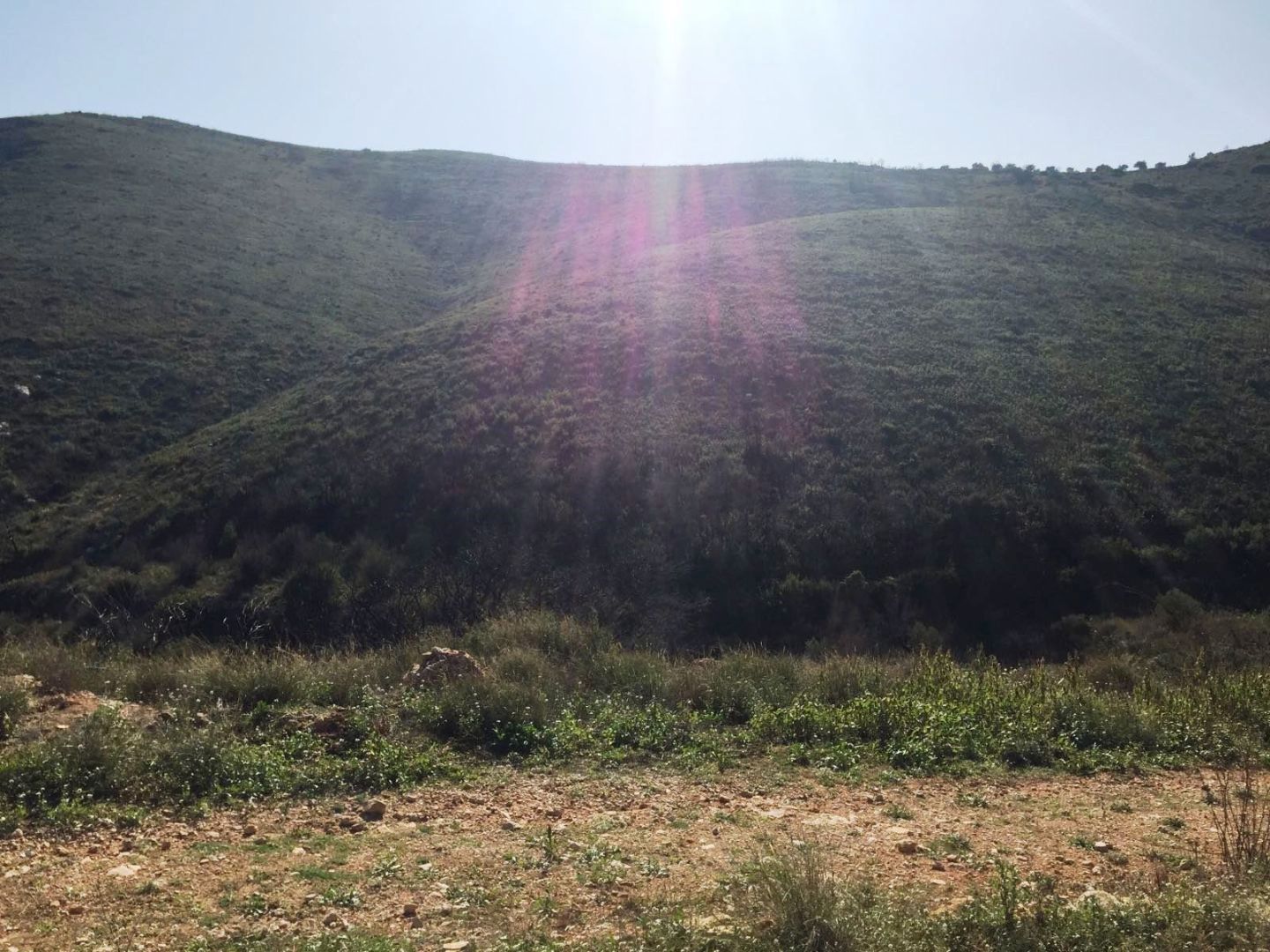 Terreno en venta en  Valencia Capital