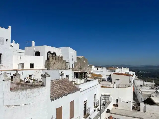 Maison avec terrasse à vendre à Vejer, imagen 3